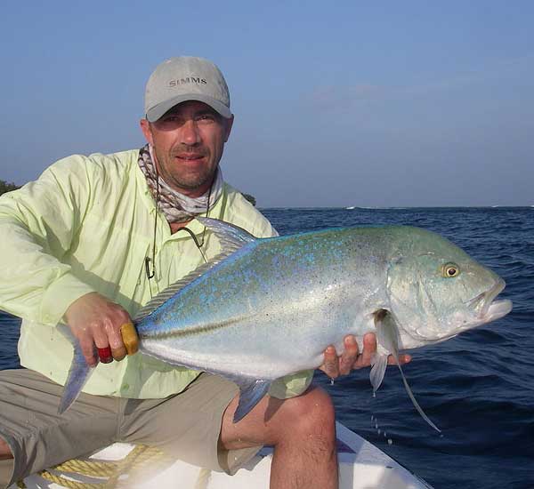 Fliegenfischen auf Bluefin Trevally